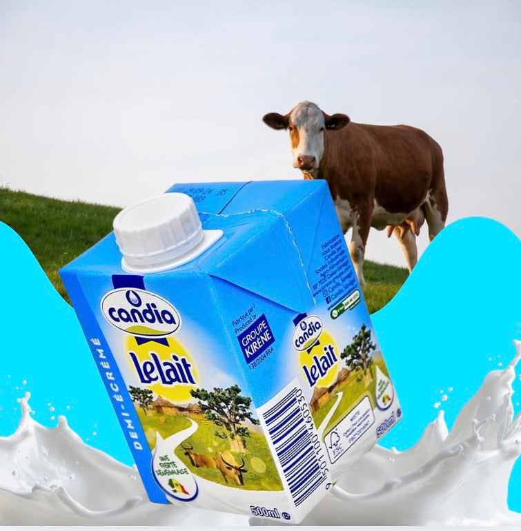 Candia Lait 1/2 Ecrème Brique 500ML

690 CFA