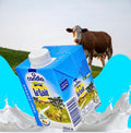 Candia Lait 1/2 Ecrème Brique 500ML

690 CFA