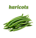 Haricots