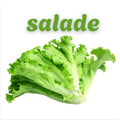 Salade verte
